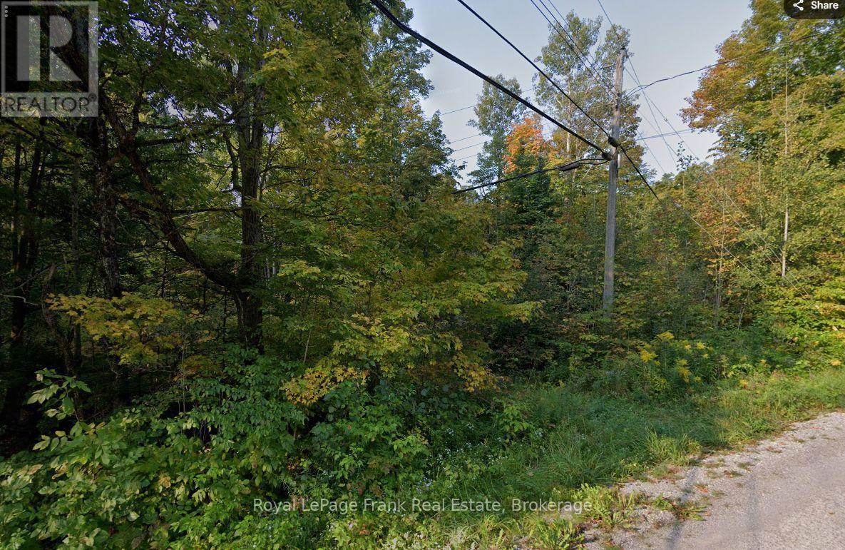 0 Northern Avenue, Trent Lakes, Ontario  K0M 1A0 - Photo 3 - X13479344