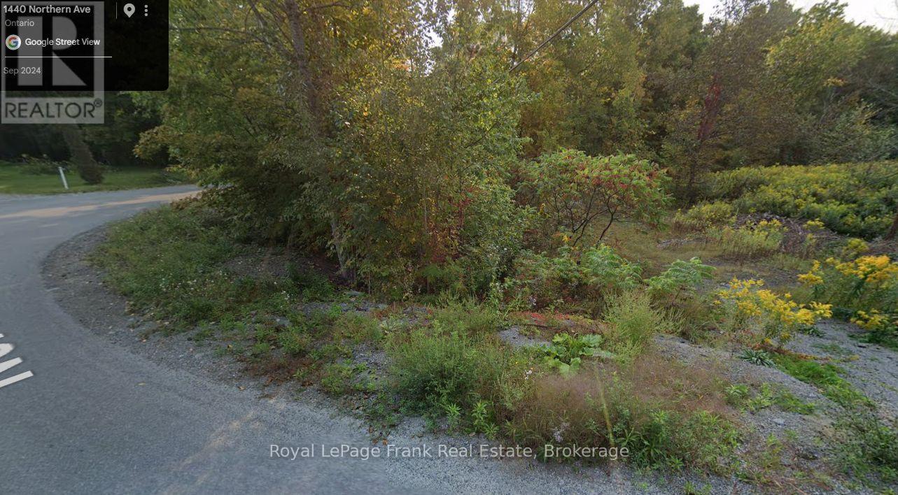 0 Northern Avenue, Trent Lakes, Ontario  K0M 1A0 - Photo 4 - X13479344
