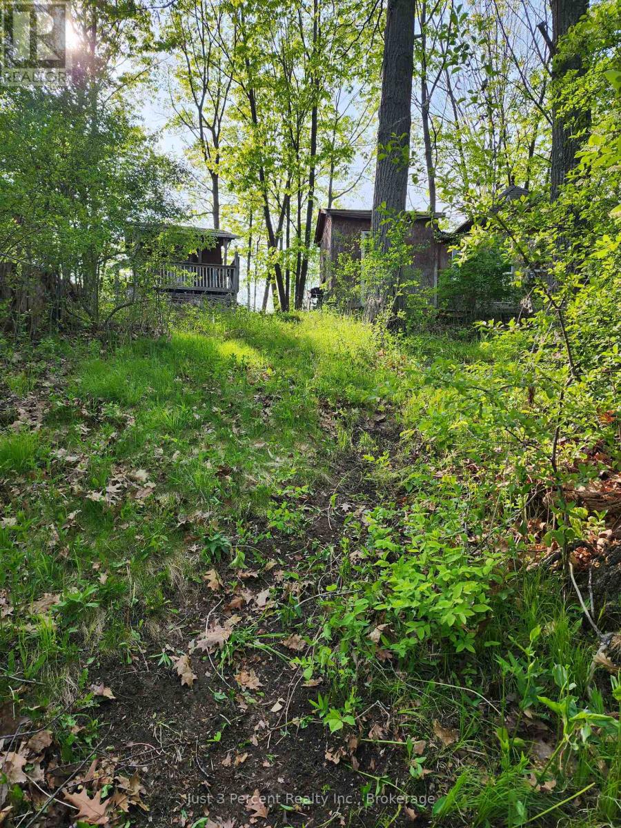 100 Cow Island, Otonabee-South Monaghan, Ontario  K0B 1B0 - Photo 9 - X13475350