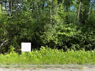 A2 Pipeline Road, Cramahe, Ontario  K0K 1M0 - Photo 2 - X13174586