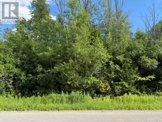 B3 Old Shelter Valley Road, Cramahe, Ontario  K0K 1M0 - Photo 3 - X13176526