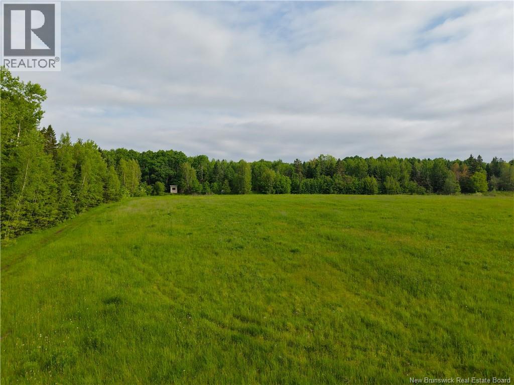 2912 Fredericton Road, Salisbury, New Brunswick  E4J 2G1 - Photo 10 - NB133421