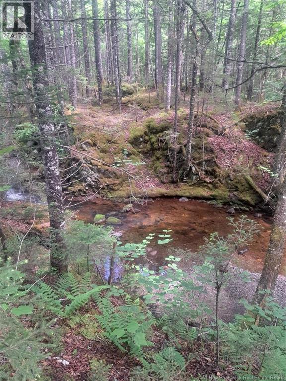 0 Pattersonsiding/town Plot Road, St. Martins, New Brunswick E5R 2B7 - Photo 6 - NB141741