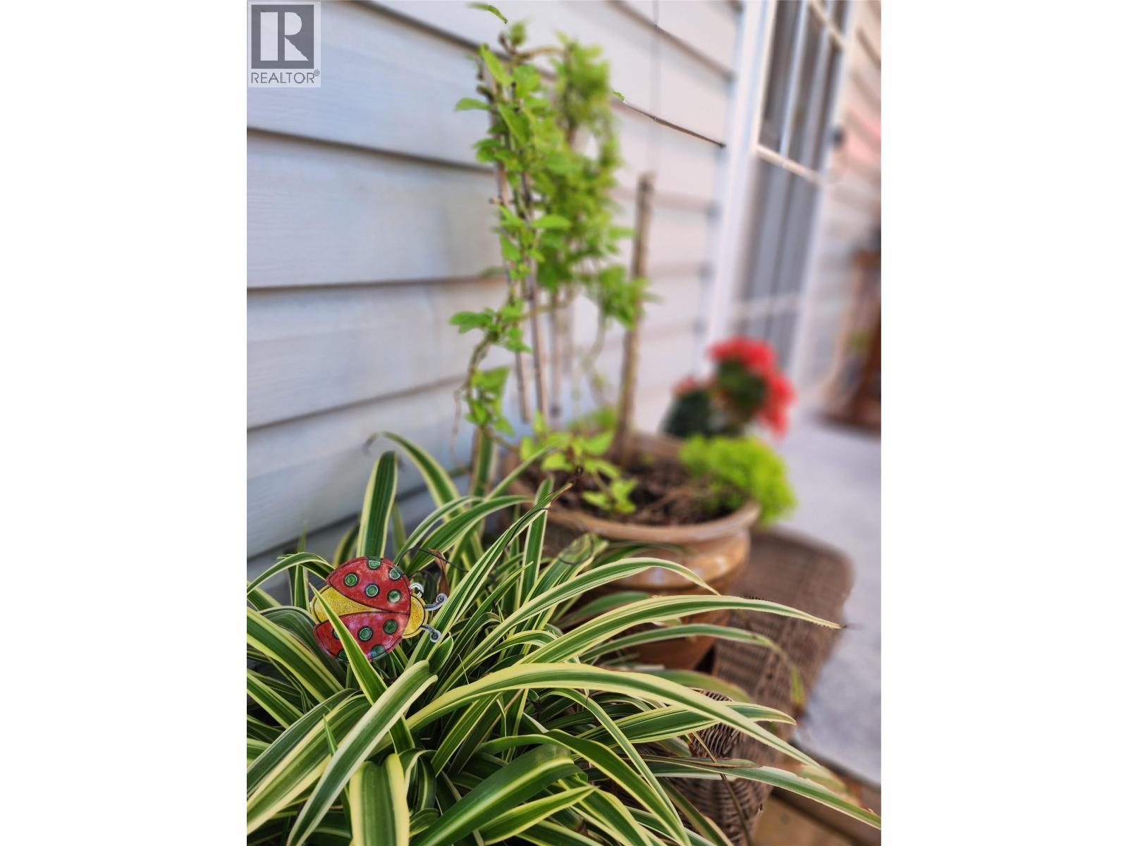 4138 4th Avenue, Peachland, British Columbia  V0H 1X5 - Photo 15 - 10392367
