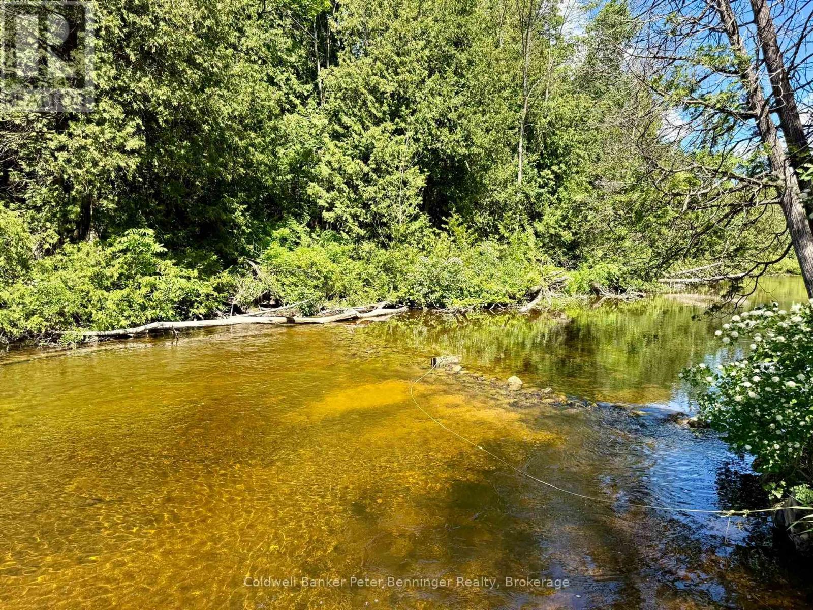 157 Anderson Drive, West Grey, Ontario  N0G 1S0 - Photo 21 - X13485096