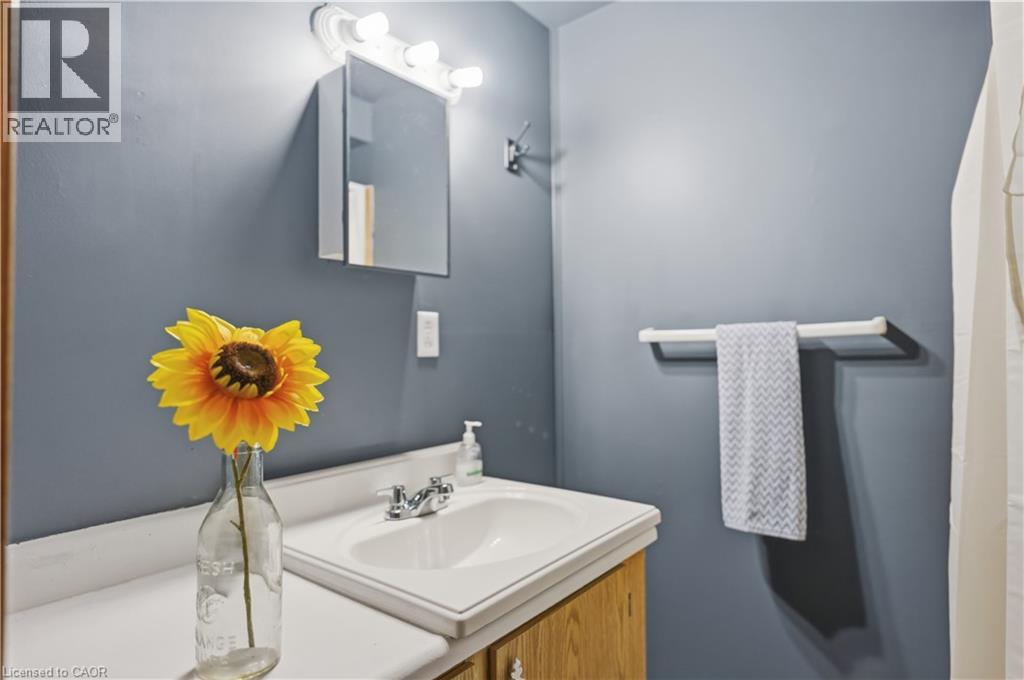 228 Golden Orchard Drive, Hamilton, Ontario  L9C 6J7 - Photo 19 - 40840196