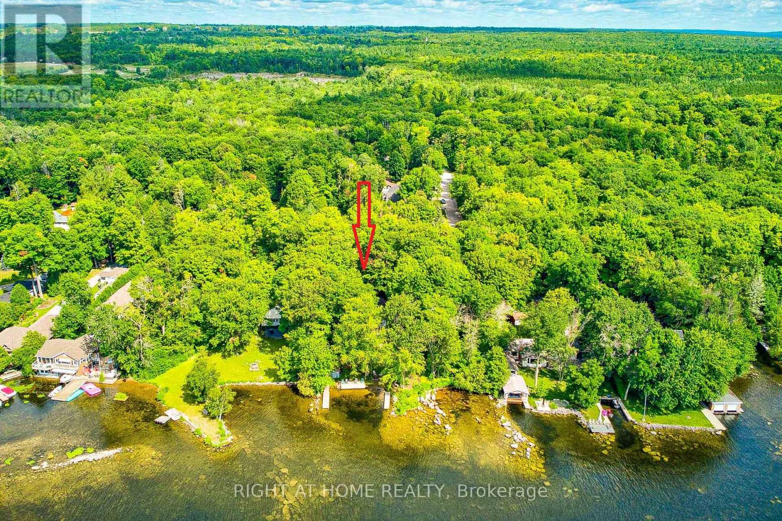 317 Riverside Drive, Kawartha Lakes, Ontario  K0M 1A0 - Photo 4 - X13485234
