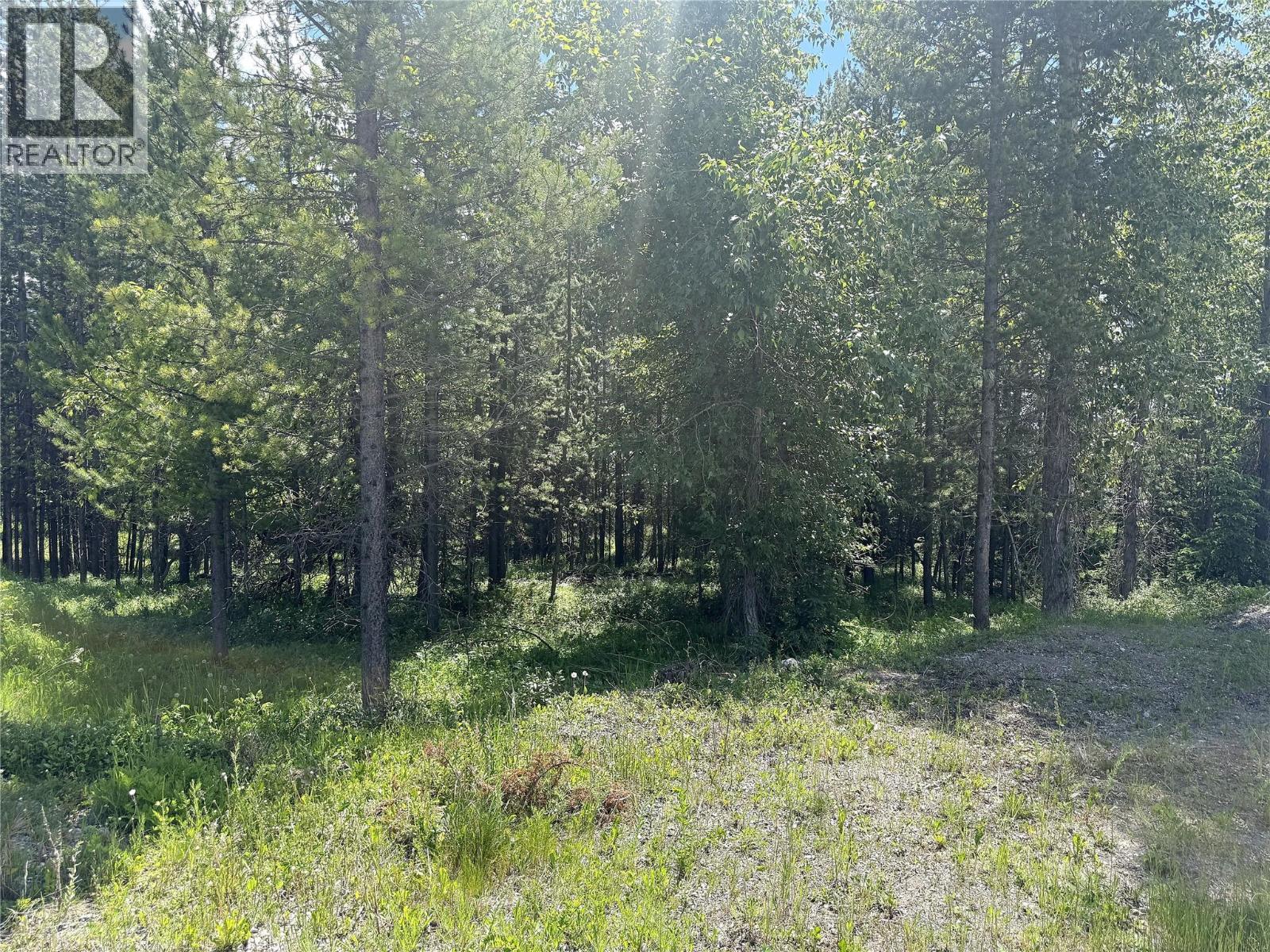 44 Darby Crescent, Elkford, British Columbia  V0B 1H0 - Photo 6 - 10392532