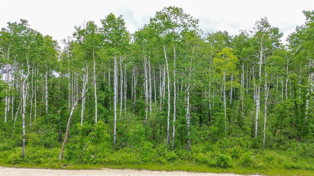 13 Lillys Cove, La Broquerie, Manitoba R0A 0W2 - Photo 0 - 202607762