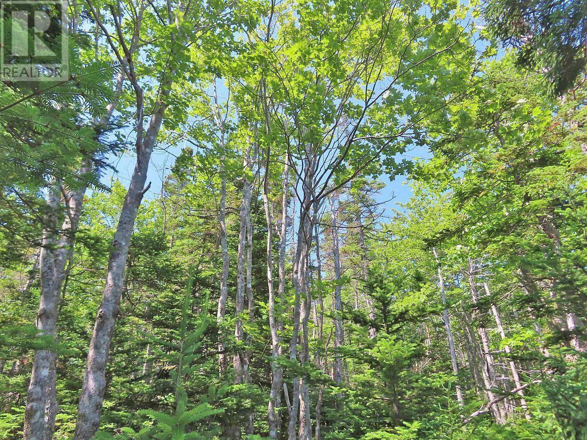 Lot 2 Perry Lane, Lennox Passage, Nova Scotia  B0E 1K0 - Photo 25 - 202416052