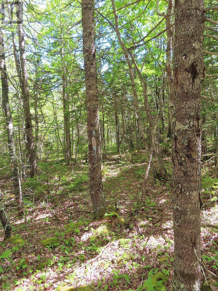 Lot 2 Perry Lane, Lennox Passage, Nova Scotia  B0E 1K0 - Photo 19 - 202416052