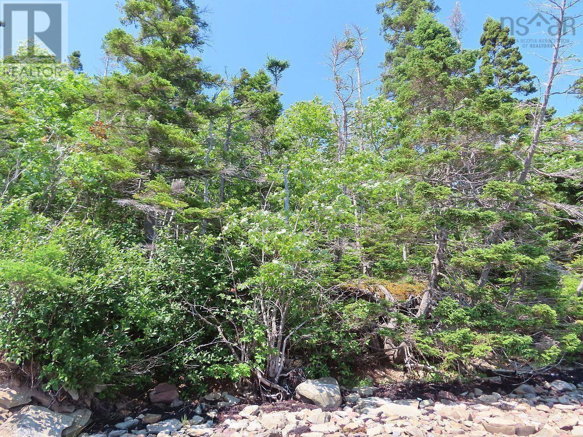Lot 2 Perry Lane, Lennox Passage, Nova Scotia  B0E 1K0 - Photo 18 - 202416052