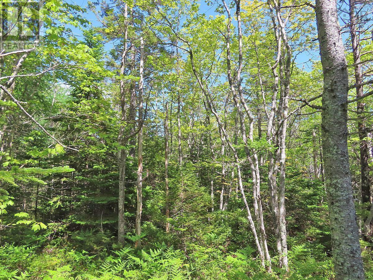 Lot 2 Perry Lane, Lennox Passage, Nova Scotia  B0E 1K0 - Photo 26 - 202416052