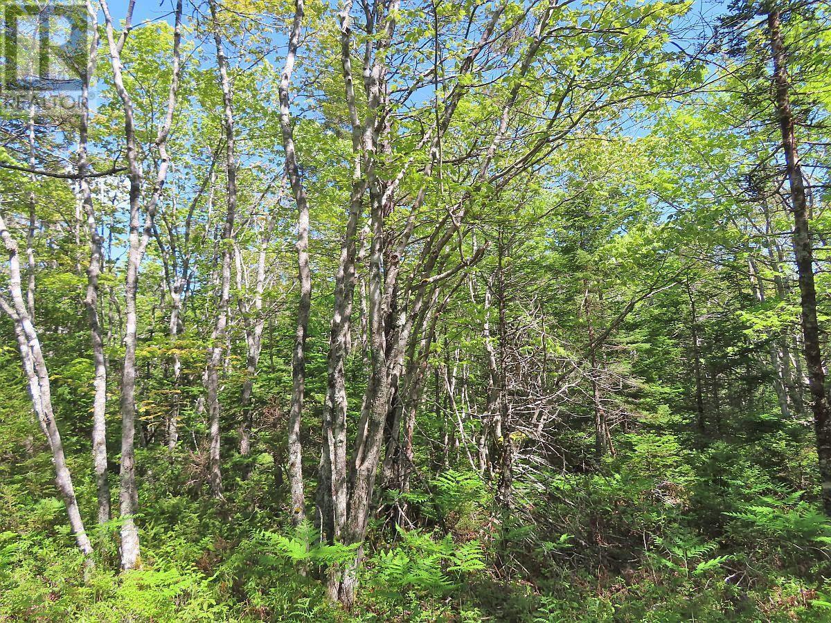 Lot 2 Perry Lane, Lennox Passage, Nova Scotia  B0E 1K0 - Photo 27 - 202416052