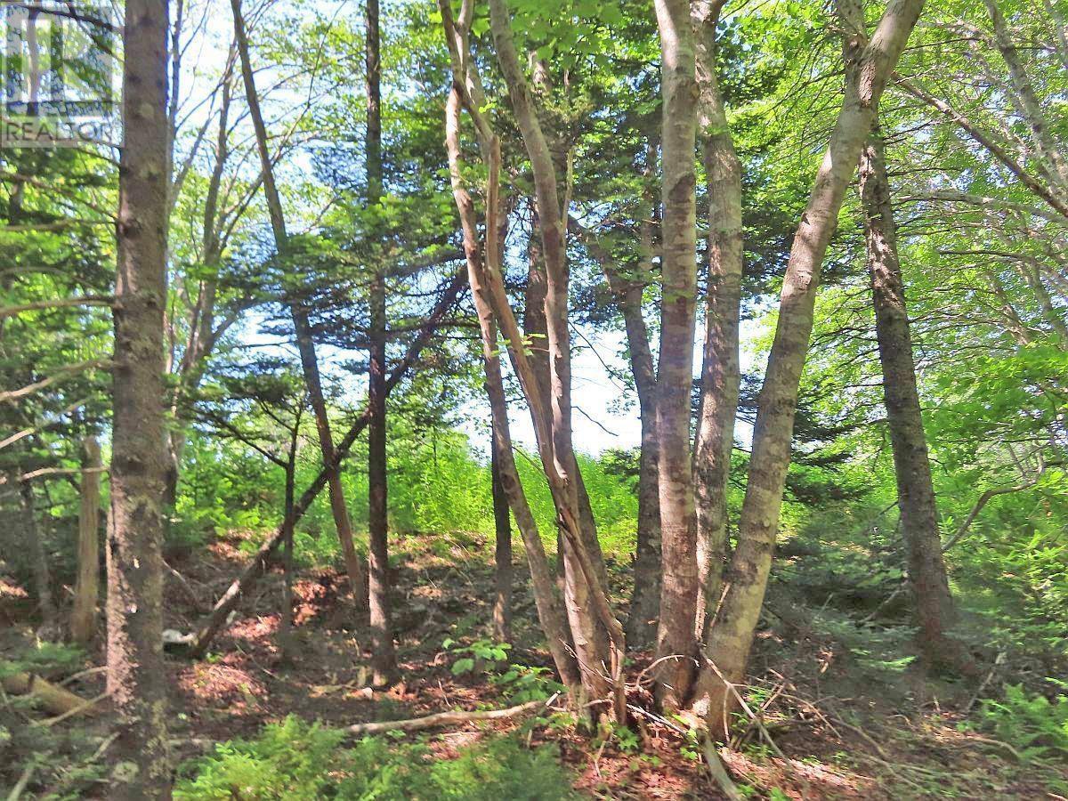 Lot 2 Perry Lane, Lennox Passage, Nova Scotia  B0E 1K0 - Photo 30 - 202416052