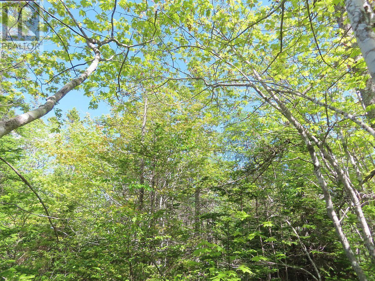Lot 2 Perry Lane, Lennox Passage, Nova Scotia  B0E 1K0 - Photo 28 - 202416052
