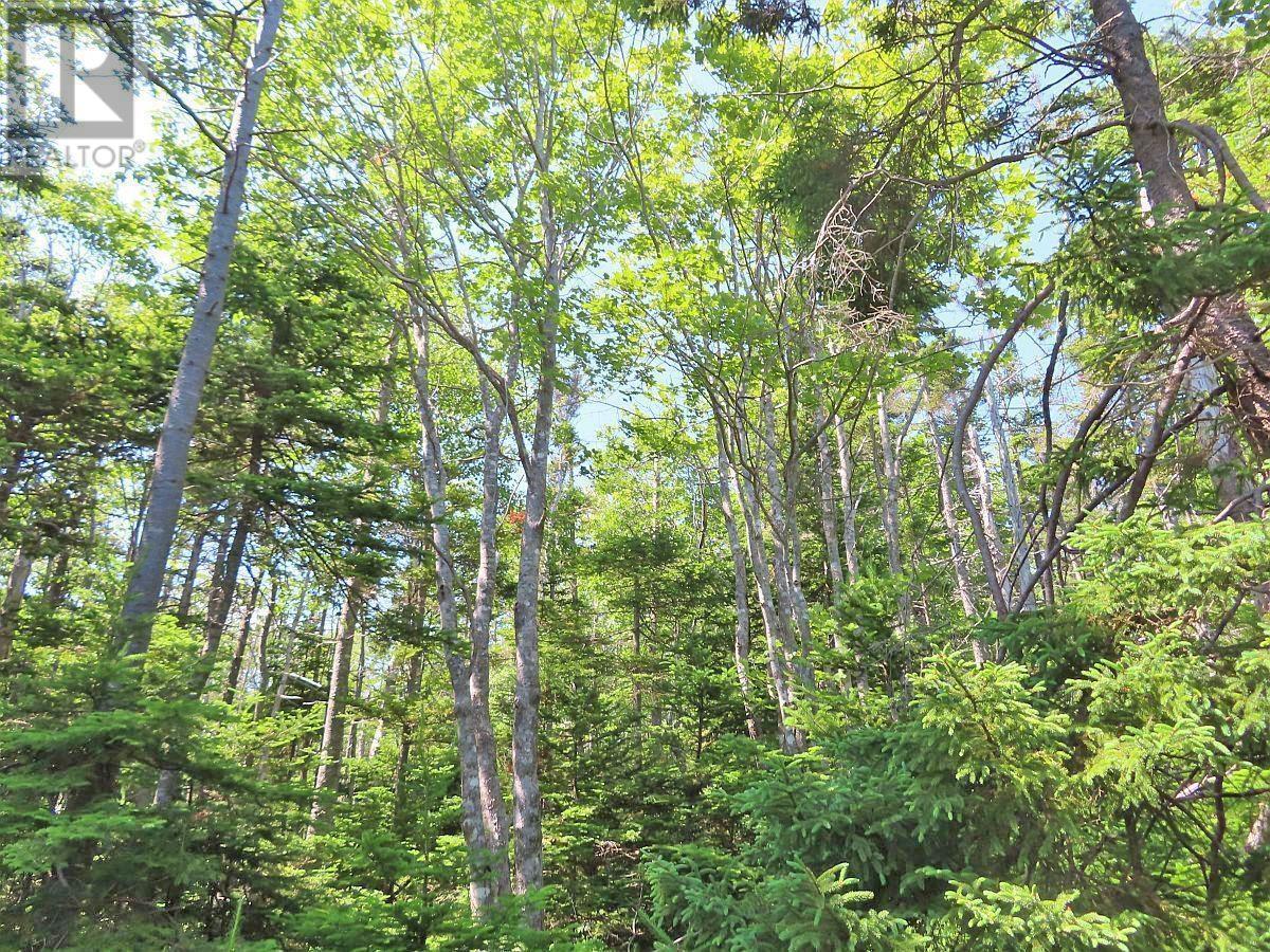 Lot 2 Perry Lane, Lennox Passage, Nova Scotia  B0E 1K0 - Photo 31 - 202416052