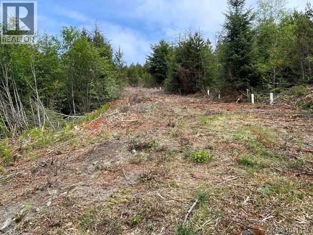 Lot C Telegraph Cove, Telegraph Cove, British Columbia  V0N 2R0 - Photo 22 - 1041394