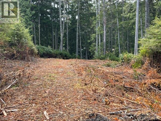 Lot C Telegraph Cove, Telegraph Cove, British Columbia  V0N 2R0 - Photo 23 - 1041394