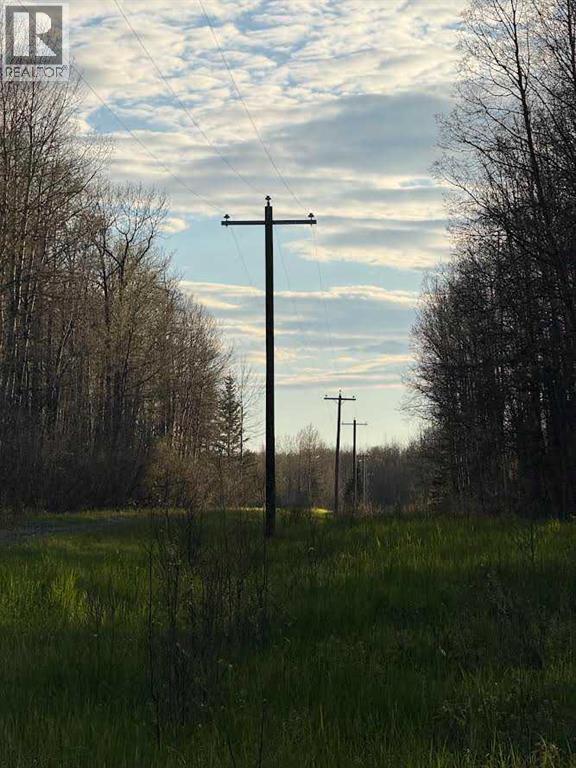 616 Hwy, Rural Brazeau County, Alberta  T7A 1R9 - Photo 12 - A2322949