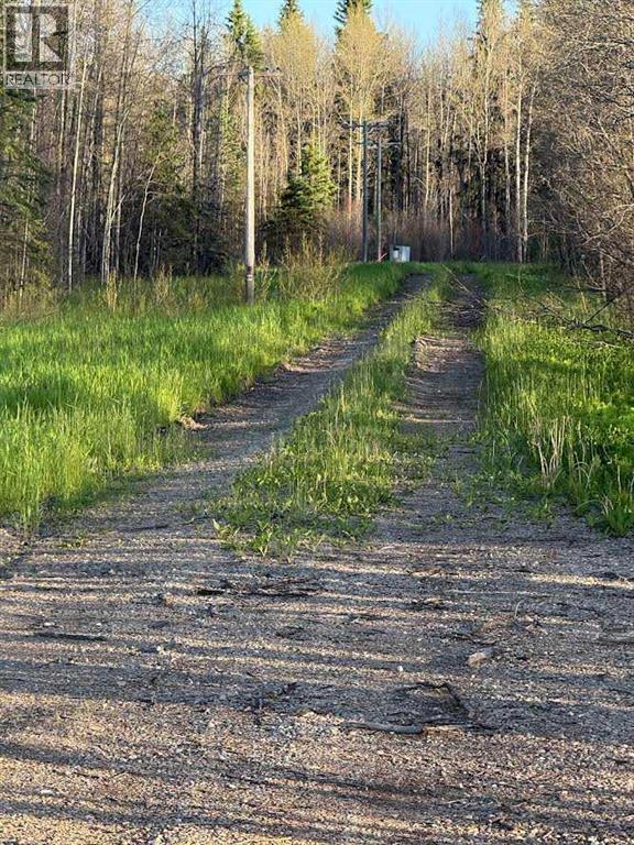 616 Hwy, Rural Brazeau County, Alberta  T7A 1R9 - Photo 13 - A2322949