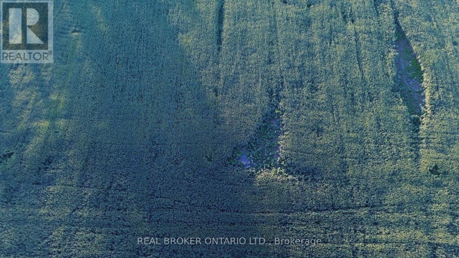 Lot 5 Rodney Lane, North Dundas, Ontario  K0C 2K0 - Photo 12 - X13485698