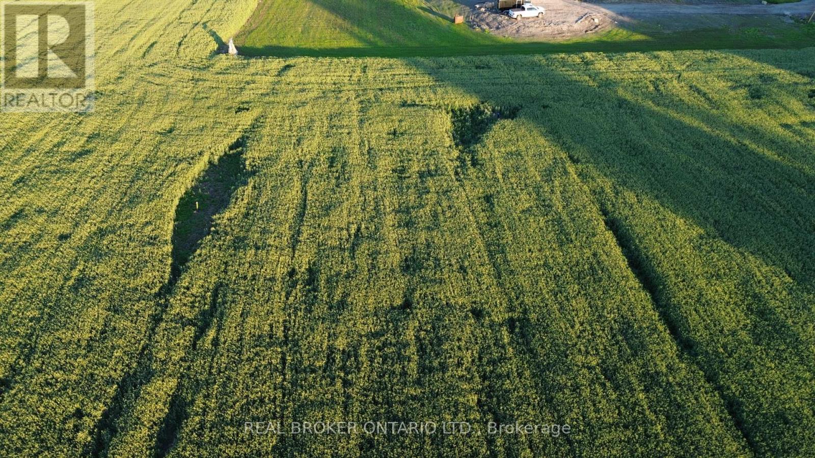 Lot 5 Rodney Lane, North Dundas, Ontario  K0C 2K0 - Photo 3 - X13485698