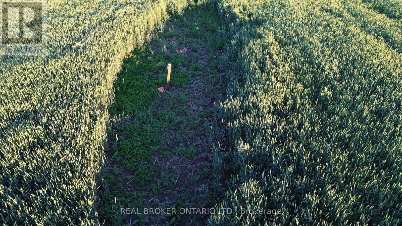 Lot 5 Rodney Lane, North Dundas, Ontario  K0C 2K0 - Photo 4 - X13485698