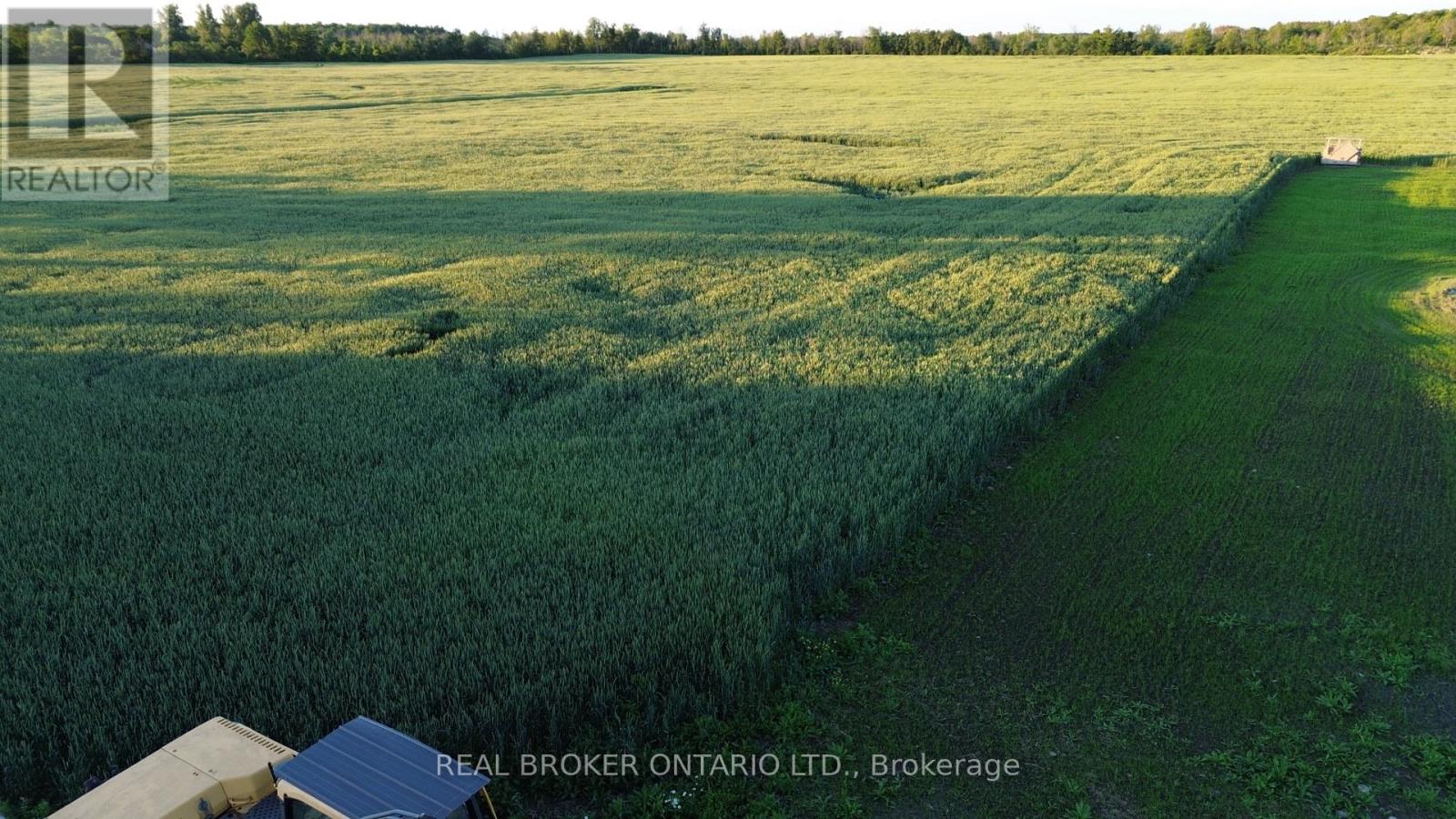 Lot 5 Rodney Lane, North Dundas, Ontario  K0C 2K0 - Photo 9 - X13485698