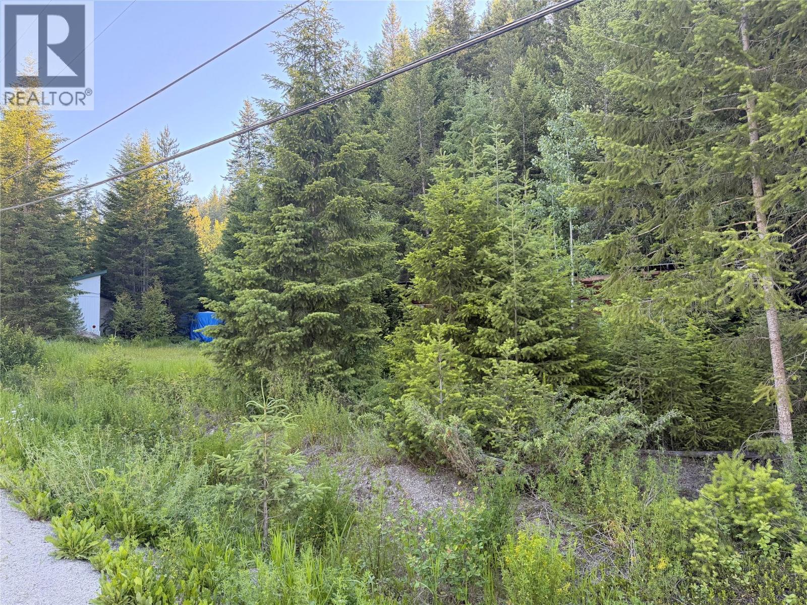 618 Golden Donald Upper Road, Golden, British Columbia  V0A 1H1 - Photo 6 - 10391921