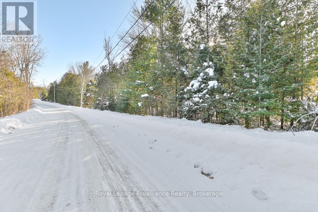 0 Swinburne Lane, Stirling-Rawdon, Ontario  K0K 2M0 - Photo 10 - X13486024