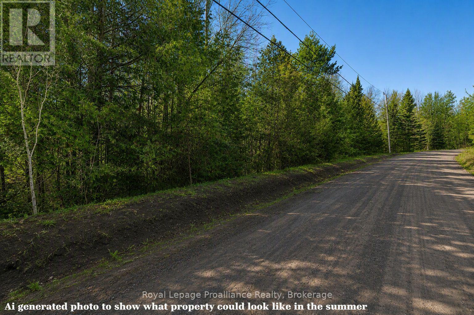 0 Swinburne Lane, Stirling-Rawdon, Ontario  K0K 2M0 - Photo 3 - X13486024