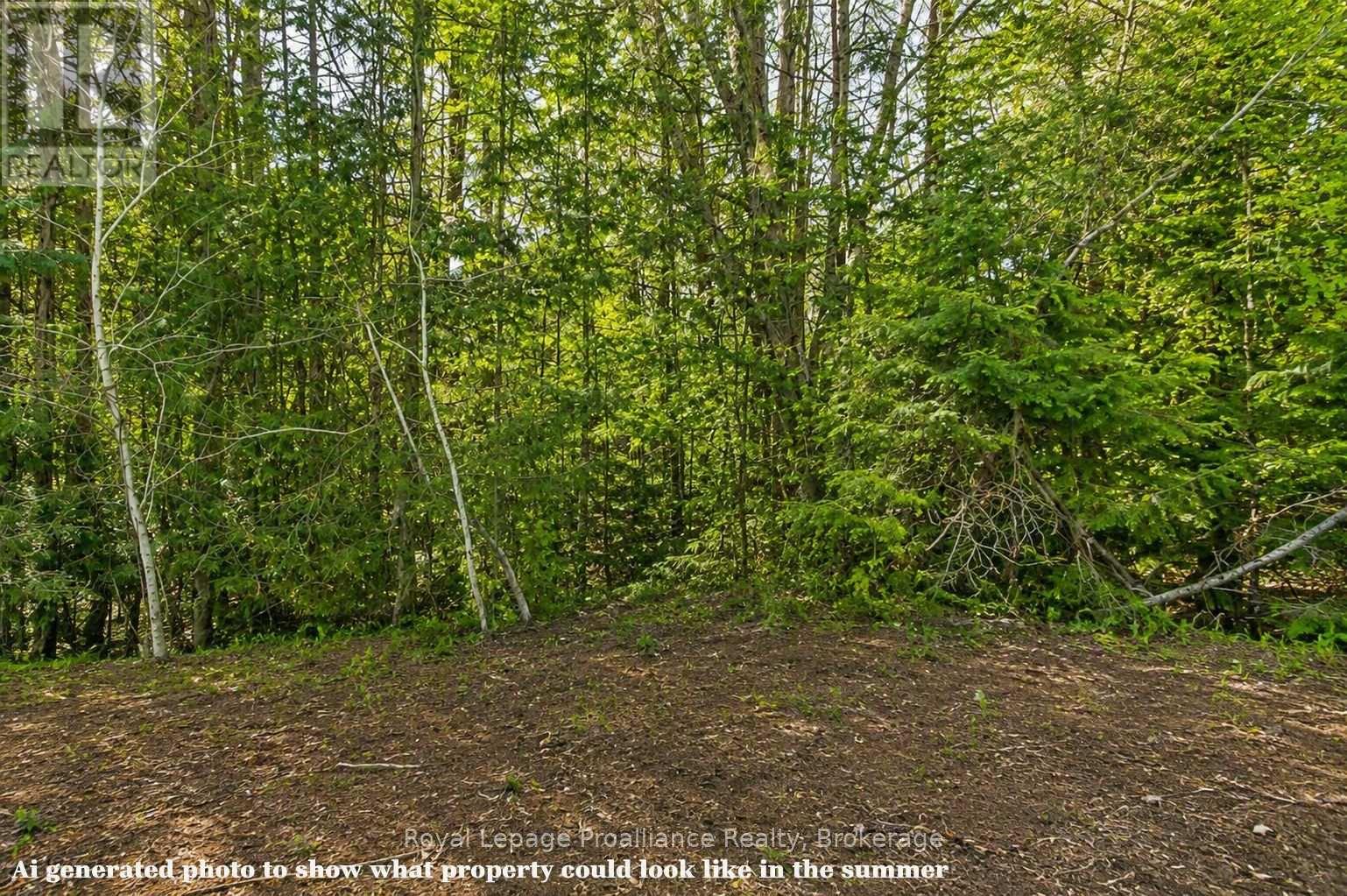 0 Swinburne Lane, Stirling-Rawdon, Ontario  K0K 2M0 - Photo 7 - X13486024