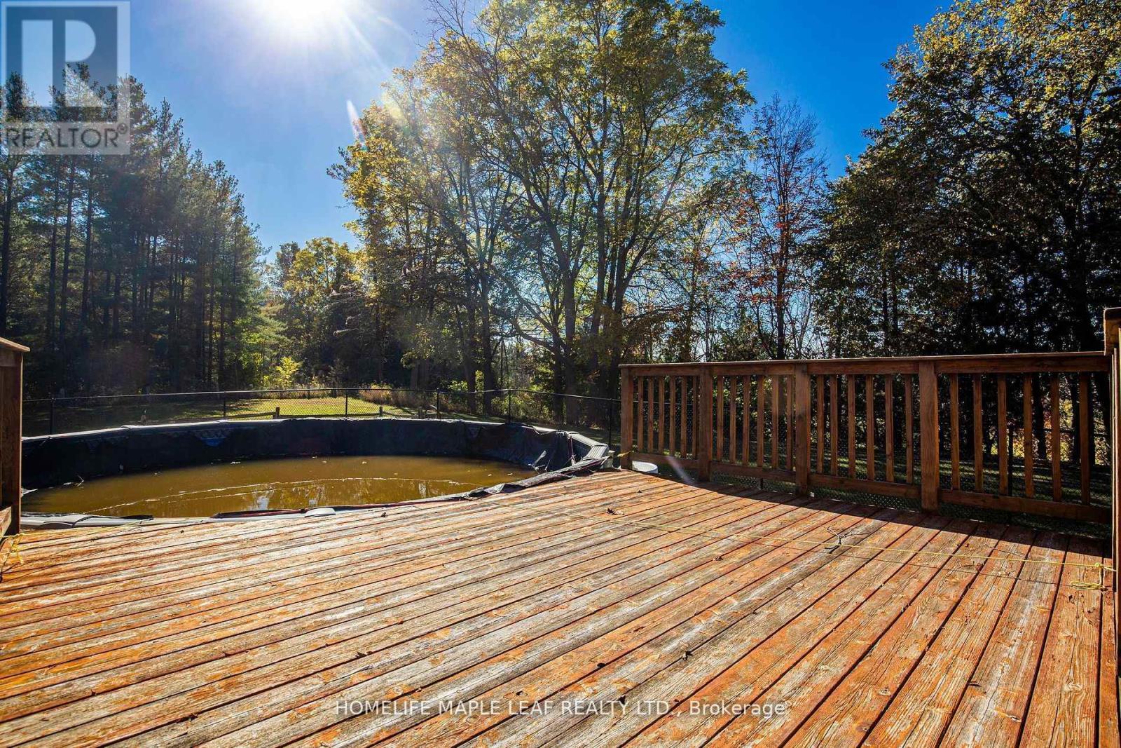 1630 Tottenham Road, New Tecumseth, Ontario  L0G 1W0 - Photo 31 - N13486046