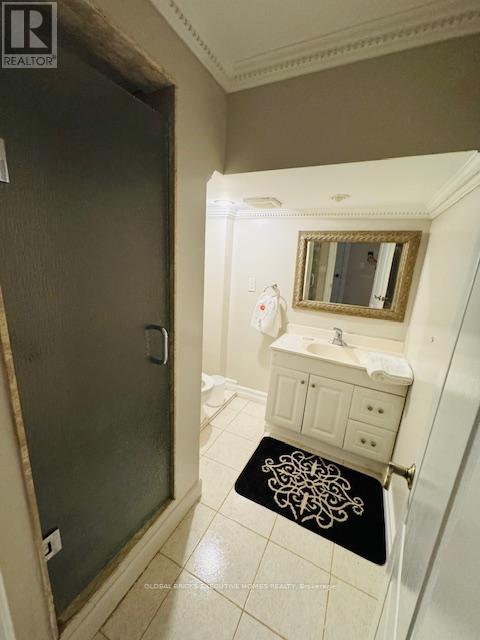 Basement - 4562 Penhallow Road, Mississauga, Ontario  L5V 1E8 - Photo 3 - W13486082