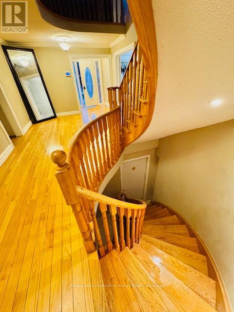 4562 Penhallow Road, Mississauga, Ontario  L5V 1E8 - Photo 17 - W13486084