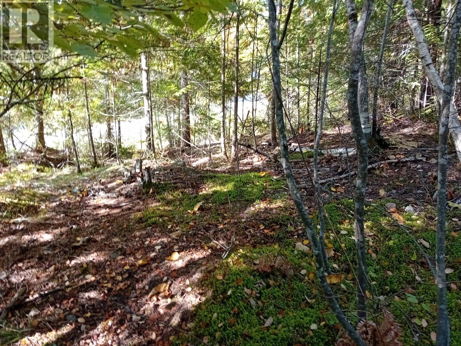 Aspen Road Lot# 372, Anglemont, British Columbia  V0E 1M8 - Photo 12 - 10392652