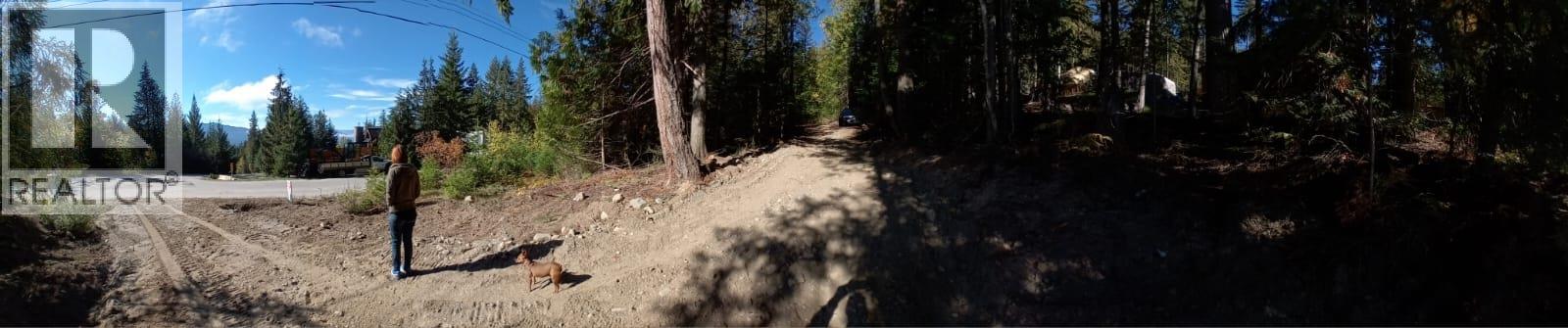 Aspen Road Lot# 372, Anglemont, British Columbia  V0E 1M8 - Photo 4 - 10392652