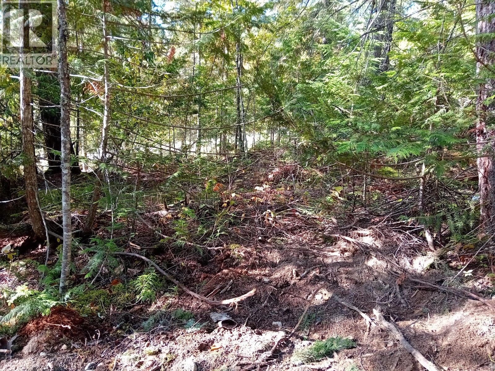 Aspen Road Lot# 372, Anglemont, British Columbia  V0E 1M8 - Photo 9 - 10392652