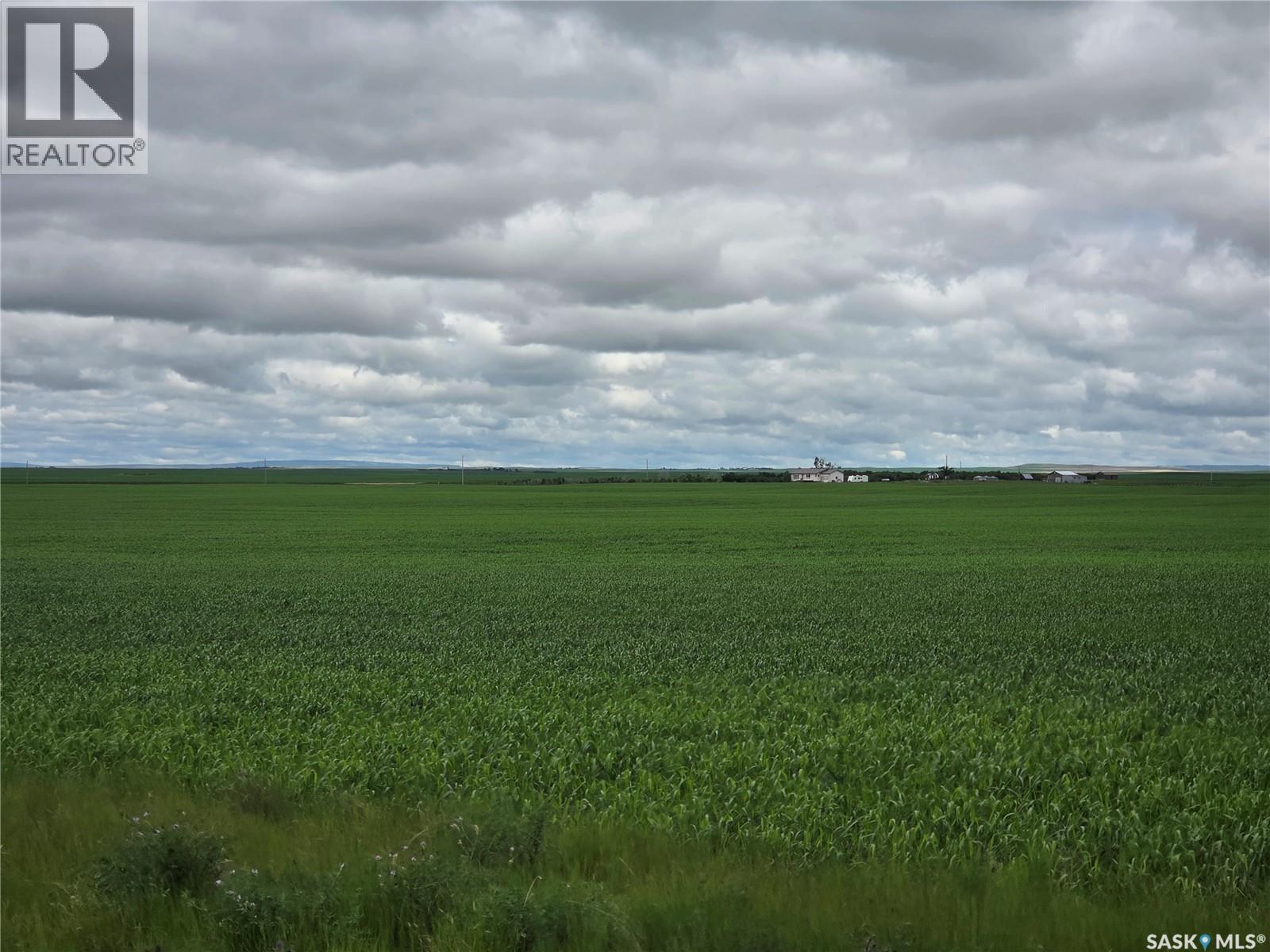 Pridmore Farm, Reno Rm No. 51, Saskatchewan S0N 0P0 - Photo 73 - SK040462