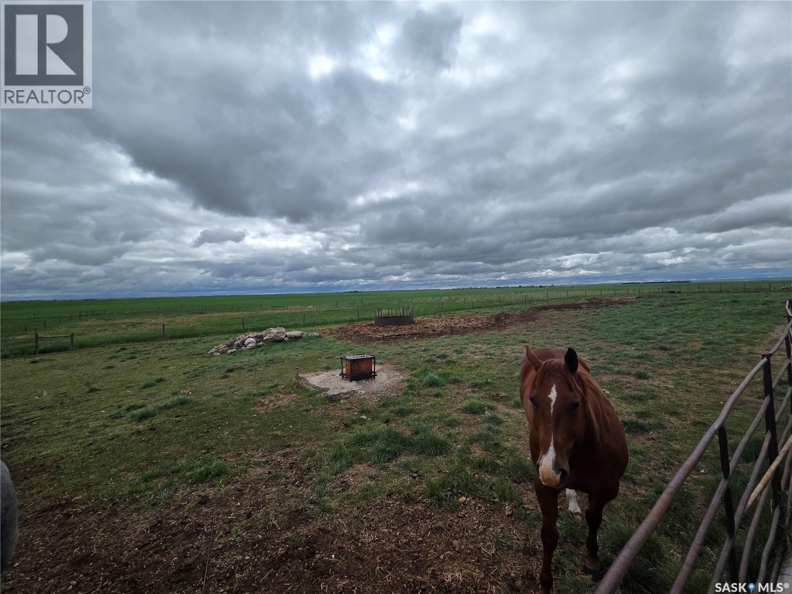 Pridmore Farm, Reno Rm No. 51, Saskatchewan S0N 0P0 - Photo 58 - SK040462