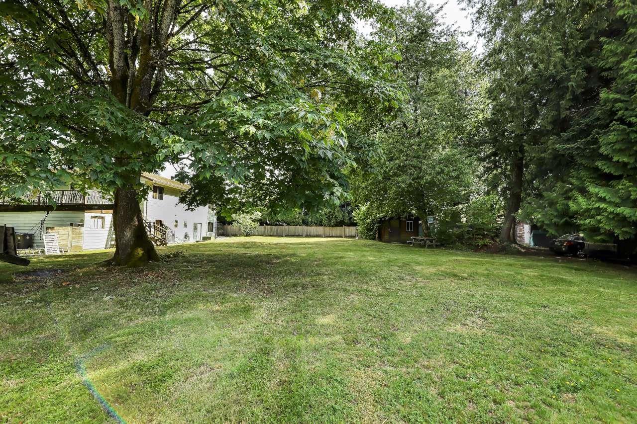 Listing image 16