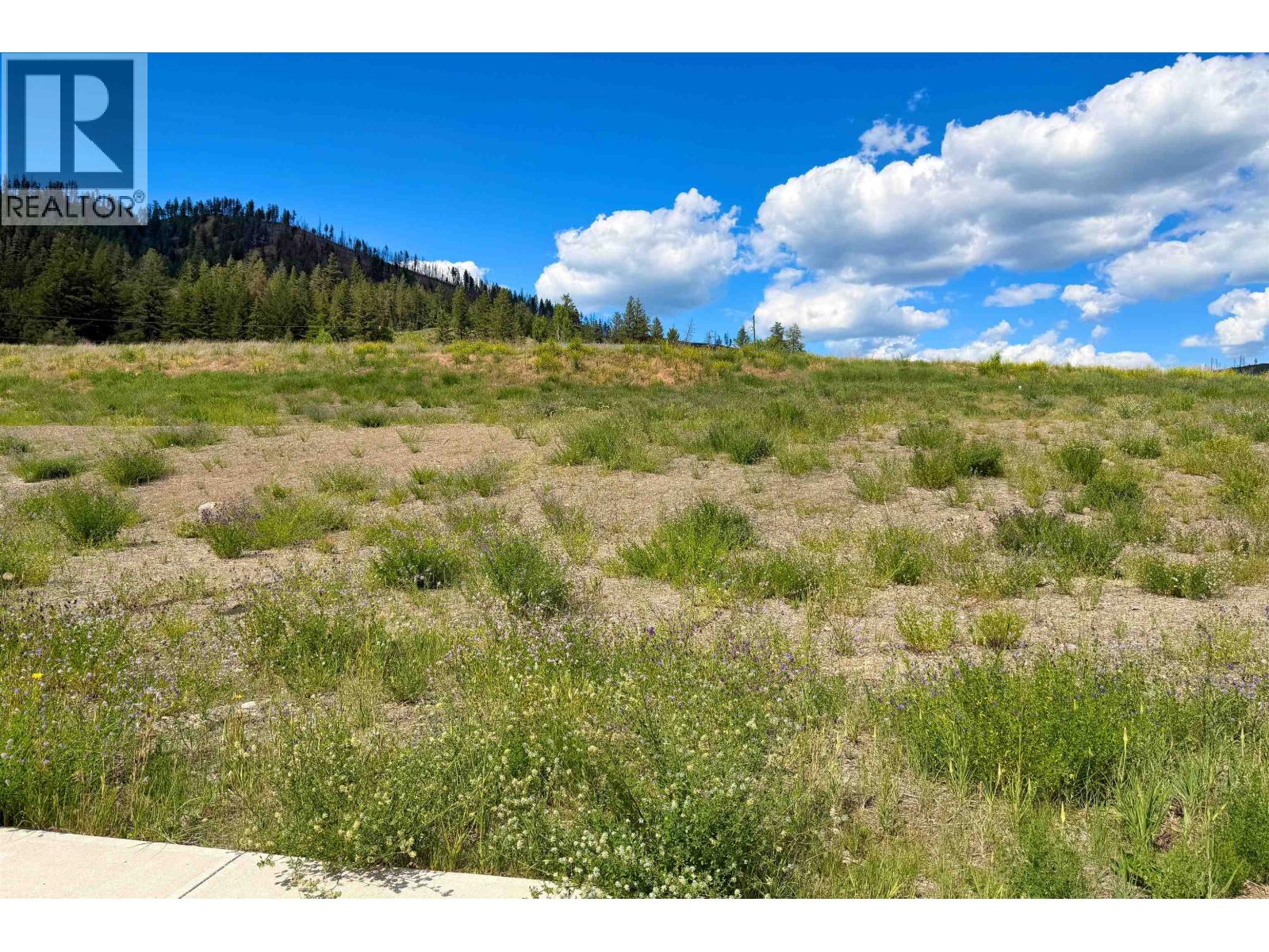 Lot 160 2518 Gopher Drive, Williams Lake, British Columbia  V2G 5H3 - Photo 2 - R3139606