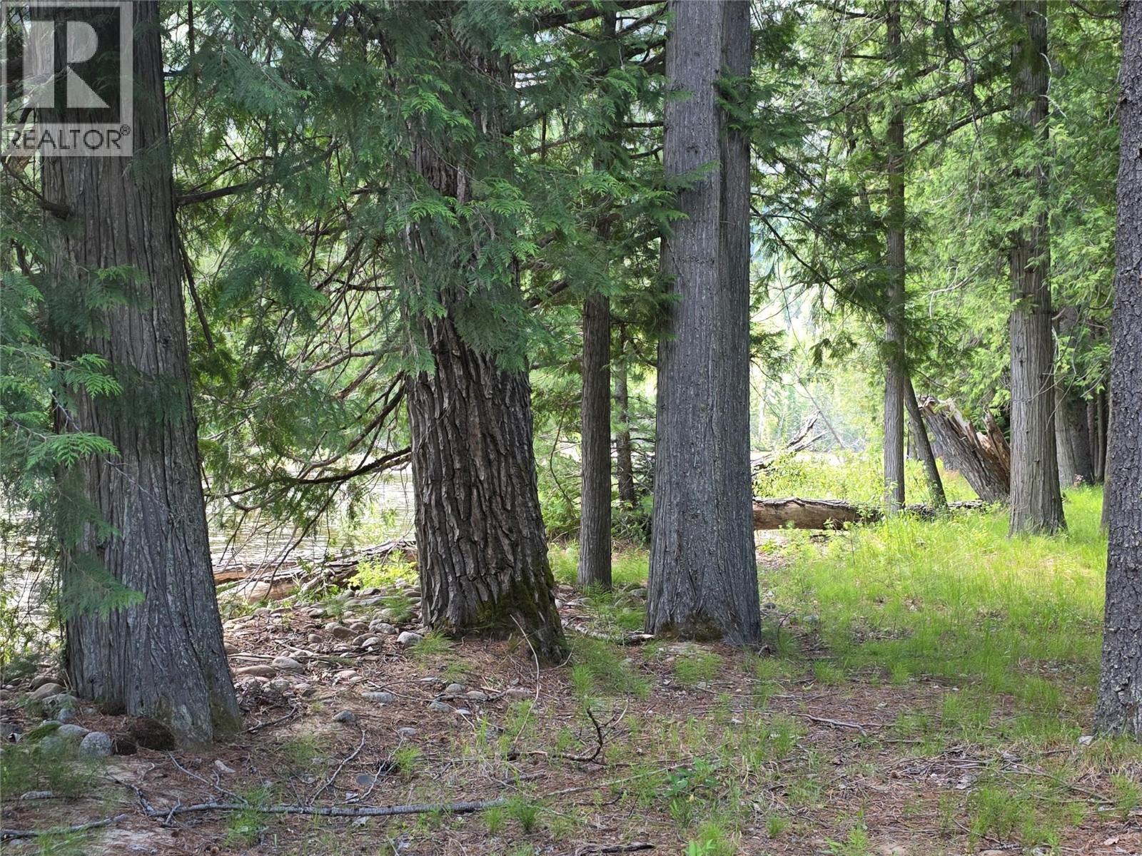 13835 North Fork Road, Grand Forks, British Columbia  V0H 1H0 - Photo 13 - 10392376