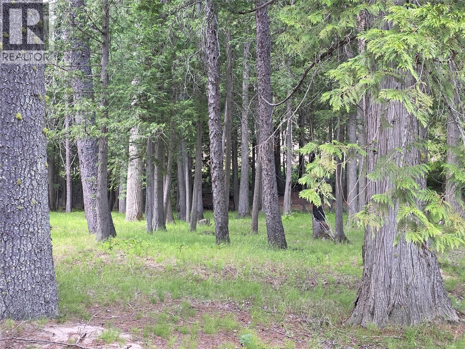13835 North Fork Road, Grand Forks, British Columbia  V0H 1H0 - Photo 11 - 10392376