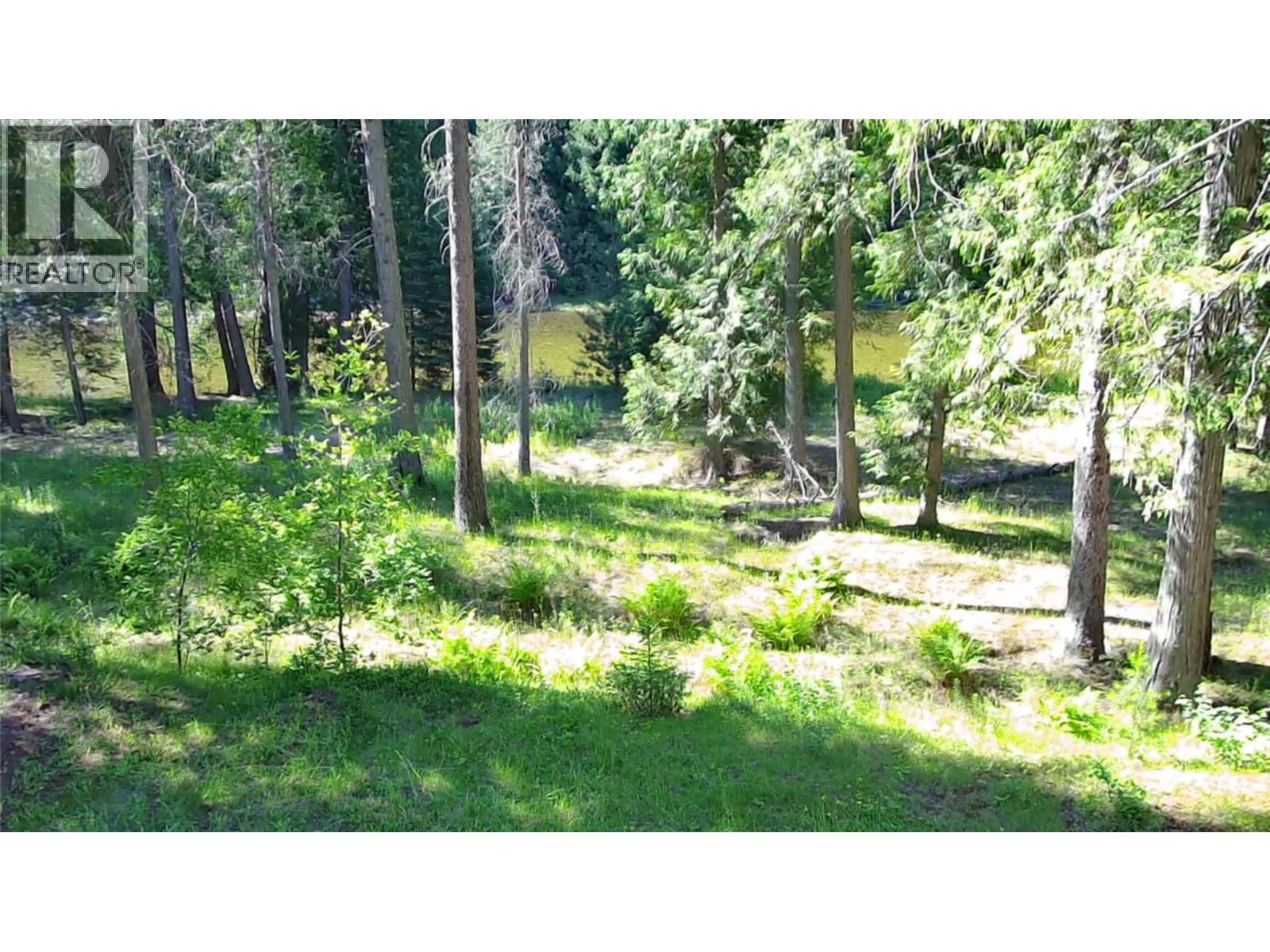 13835 North Fork Road, Grand Forks, British Columbia  V0H 1H0 - Photo 65 - 10392376