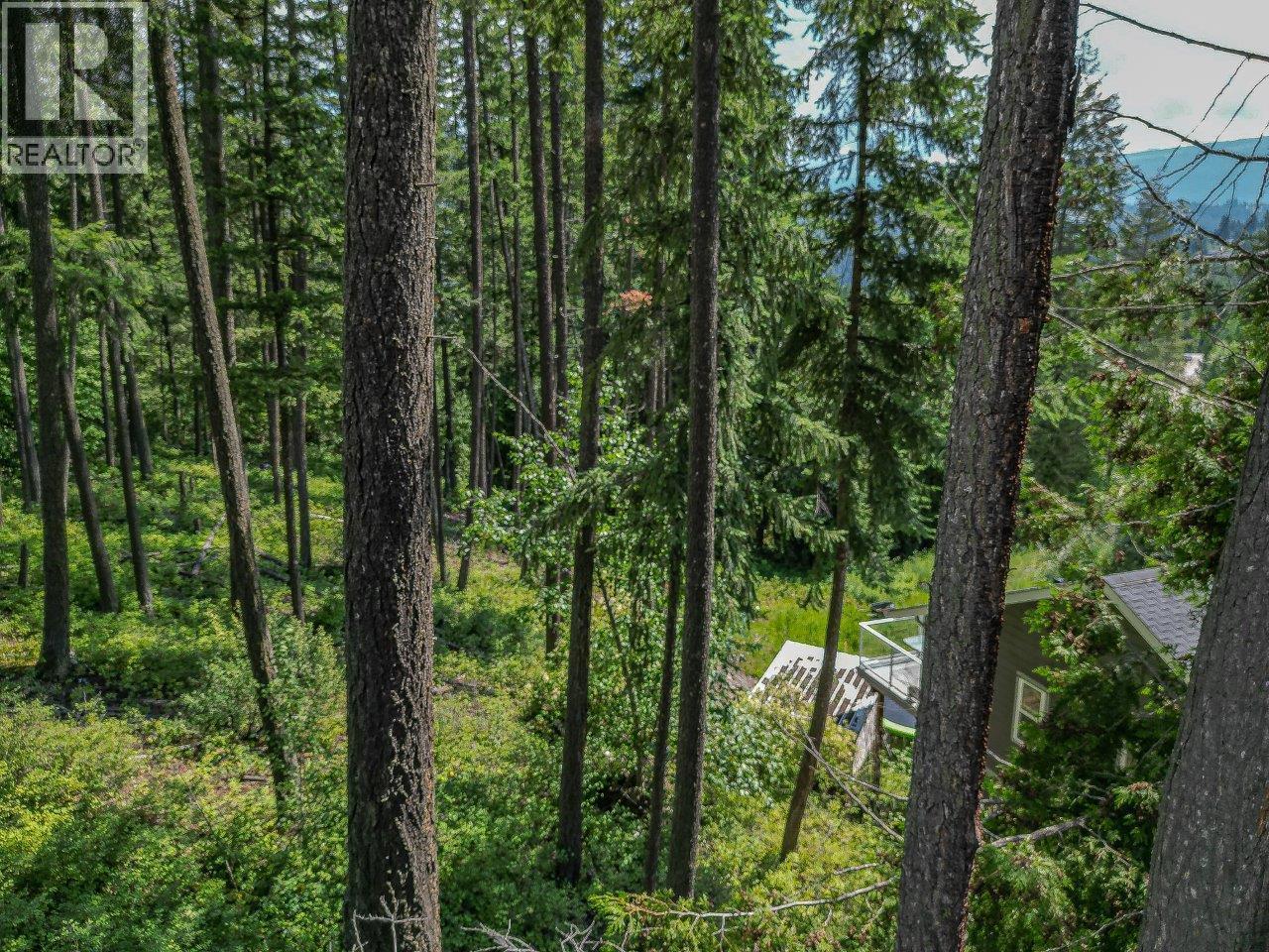 Lot 25 Forest View Place, Blind Bay, British Columbia V0E 1H1 - Photo 21 - 10278634