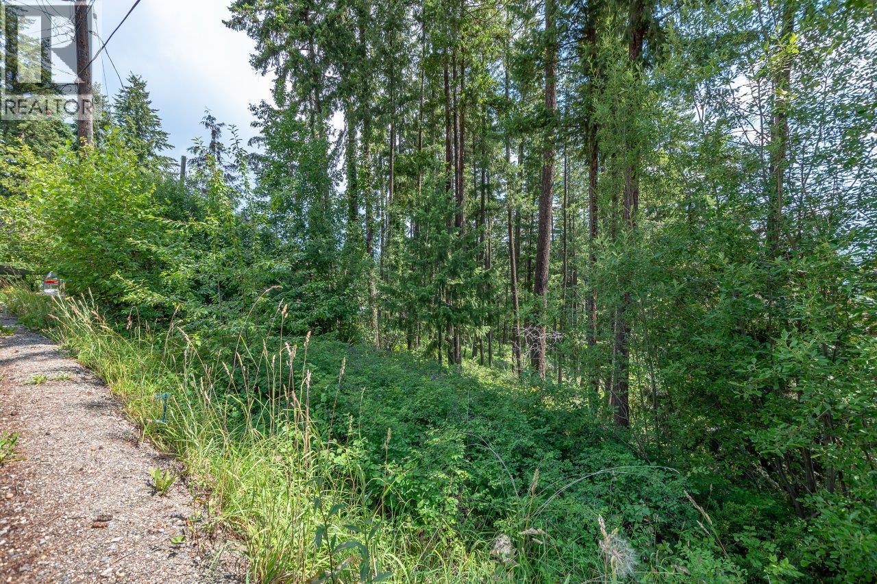 Lot 25 Forest View Place, Blind Bay, British Columbia V0E 1H1 - Photo 26 - 10278634