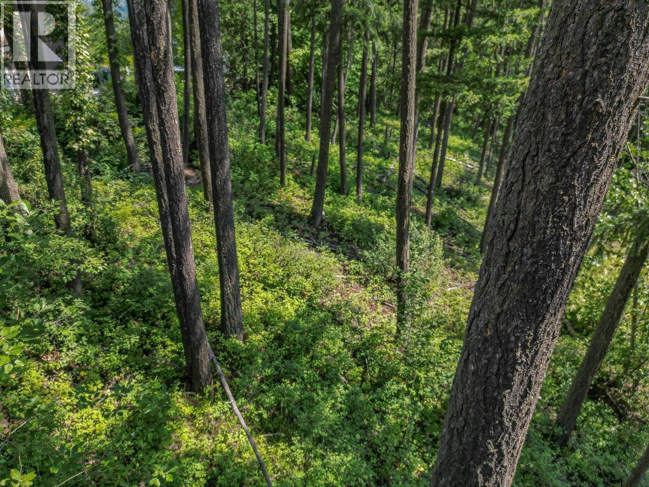 Lot 25 Forest View Place, Blind Bay, British Columbia