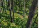 Lot 25 Forest View Place, Blind Bay, BC V0E 1H1